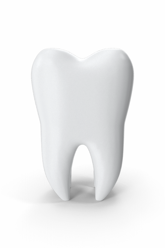Illustration of a healthy tooth